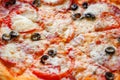 Pizza with cheese, salami and black olives, close-up, selective focus, cut Royalty Free Stock Photo