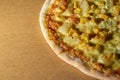 Pizza with chicken, pineapple and cheese with blue mould. Copy space Royalty Free Stock Photo