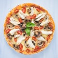 Pizza with chicken, tomato and mushrooms Royalty Free Stock Photo