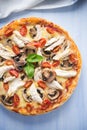 Pizza with chicken, tomato and mushrooms Royalty Free Stock Photo