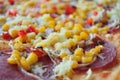 Delicious Pizza with corn and salami Royalty Free Stock Photo