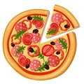 Pizza detailed flat style vector web icon. Olive tasty tomato pepper sausage. Food collection