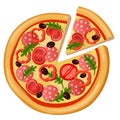 Pizza detailed flat style web icon. Food collection.