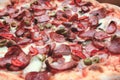 Pizza. Diablo pizza sausages, salami, bacon, cheese, mushrooms, olives, bell peppers, hot peppers, Italian tomato sauce close-up