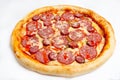 Pizza, different kinds of pizzas to the menu of restaurant and pizzeria