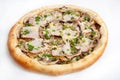 Pizza, different kinds of pizzas to the menu of restaurant and pizzeria