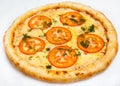 Pizza, different kinds of pizzas to the menu of restaurant and pizzeria