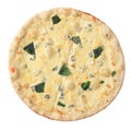 Pizza four cheese Royalty Free Stock Photo