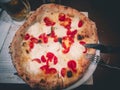 Pizza with fresh tomatoes and buffalo scamorza cheese Royalty Free Stock Photo