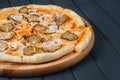 Pizza on gray wood background, side view, close up. vegetarian pizza with cheese, sauce, mushrooms, onion, eggplant. place for tex