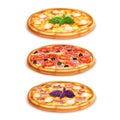 Different pizza set. Margarita pizza, pizza with ham and cheese, cheese pizza