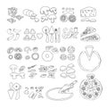 Pizza icon. Set of pizza ingredient icons. Vector illustration Royalty Free Stock Photo