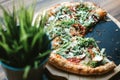 Pizza on wooden plate .