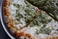 Pizza Magherita with green pesto on it and a nice and crispy edge with cheese