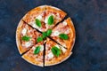 Pizza margarita with tomato sauce, fresh mozzarella, parmesan an Royalty Free Stock Photo