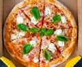 Pizza margarita with tomato sauce, fresh mozzarella, parmesan an Royalty Free Stock Photo