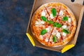 Pizza margarita with tomato sauce, fresh mozzarella, parmesan an Royalty Free Stock Photo