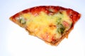 Pizza margaritta fresh baked slice