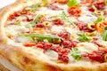 Pizza Marinara with Anchovy Royalty Free Stock Photo