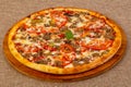 Pizza with minced meat