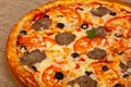 Pizza with minced meat