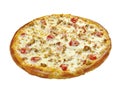 Pizza with mozzarella, chedar Royalty Free Stock Photo