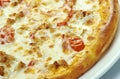 Pizza with mozzarella, chedar and tomatoes Royalty Free Stock Photo