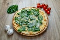 Pizza with mozzarella cheese and spinach, shredded cheese top angle Royalty Free Stock Photo