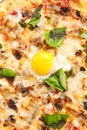 Pizza with Mushrooms, Bacon and Egg in Restaurant Plate Isolated Royalty Free Stock Photo