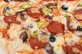 Fresh italian pizza close up. set menu photo. traditional food Royalty Free Stock Photo