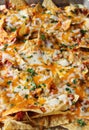 Pizza nachos vertical