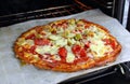 Pizza from the oven Royalty Free Stock Photo
