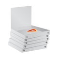 Pizza paper boxes vector