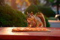 The Pizza Pilferer: A Squirrel\'s Culinary Adventure Royalty Free Stock Photo
