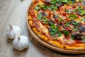 Pizza quattro carni, sausage, salami, ham, tomato sauce and parsley detail Royalty Free Stock Photo