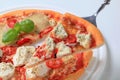 Pizza quattro formaggi Royalty Free Stock Photo