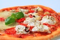 Pizza quattro formaggi Royalty Free Stock Photo