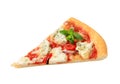 Pizza quattro formaggi Royalty Free Stock Photo