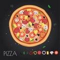 Pizza restaurant menu. Ingredients for cafe . Vector illustration