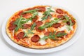 Pizza with salami, cheese and arugula Royalty Free Stock Photo