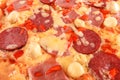 Pizza with salami, pastrami, ham, mushrooms and pepper Royalty Free Stock Photo