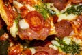 Pizza with salami, tomatoes, pesto and mozzarella. Close up Royalty Free Stock Photo