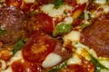 Pizza with salami, tomatoes, pesto and mozzarella. Close up Royalty Free Stock Photo