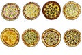 Pizza set: cheese, hawaiian, margarita, mexican, mushroom, pepperoni, seafood, vegetable