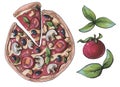 Pizza Set Tomato Basil Illustration