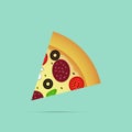 Pizza slice icon, vector