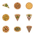Pizza,slice with meat, cheese and other filling. Different pizza set collection icons in cartoon style vector symbol Royalty Free Stock Photo