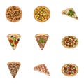 Pizza,slice with meat, cheese and other filling. Different pizza set collection icons in cartoon style vector symbol Royalty Free Stock Photo