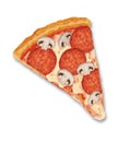 Pizza Slice Pepperoni Mushroom Realistic Vector