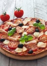 Pizza with tomatoes,chicken and mozzarella Royalty Free Stock Photo